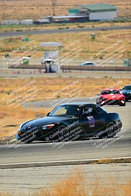 media/Oct-05-2024-Extreme Speed (Sat) [[dcd4a721fe]]/Low Inter/Session 2 (Turns 4 5 and 6)/